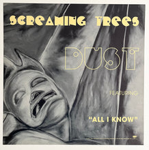 Load image into Gallery viewer, Screaming Trees - Double Sided Album Flat
