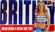 Britney Spears - 21” x 36”￼ Poster