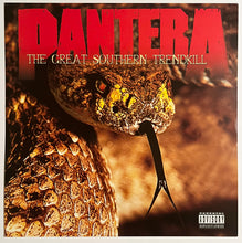 Load image into Gallery viewer, Pantera - Double Sided Album Flat
