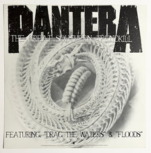 Load image into Gallery viewer, Pantera - Double Sided Album Flat
