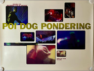 Poi Dog Pondering - 18” x 24” Promotional Poster