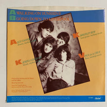 Load image into Gallery viewer, Katrina And The Waves - 7” Picture Sleeve Only (no record)
