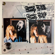 Load image into Gallery viewer, Cheap Trick - Double Sided Album Flat
