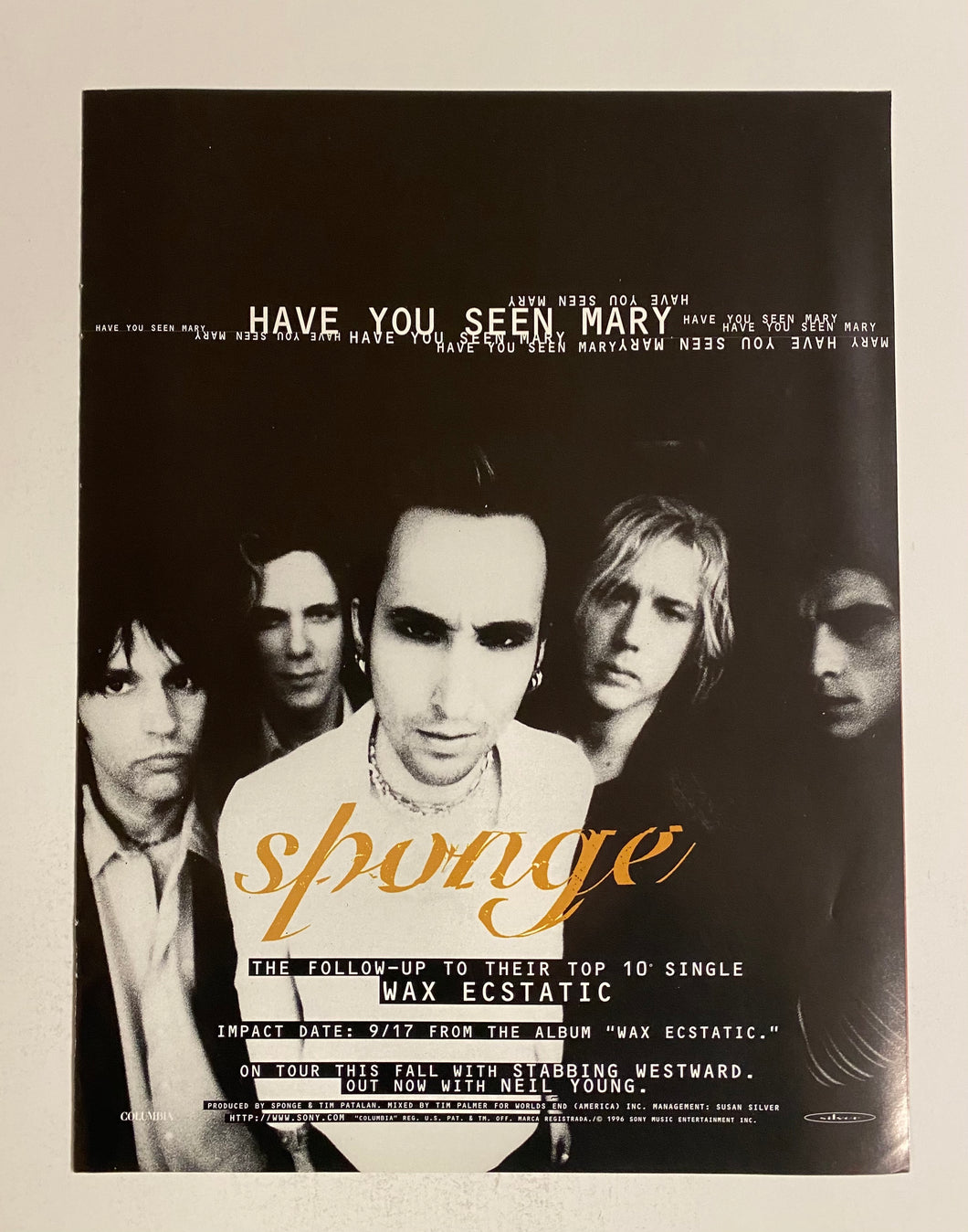 Sponge - 8 1/2