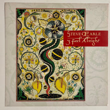 Load image into Gallery viewer, Steve Earle - Double Sided Album Flat
