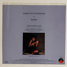 Load image into Gallery viewer, Anita Baker - 7” Picture Sleeve Only (no record)
