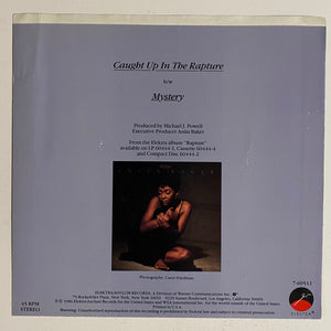 Anita Baker - 7” Picture Sleeve Only (no record)