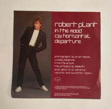 Load image into Gallery viewer, Robert Plant - German 7” w/ Picture Sleeve
