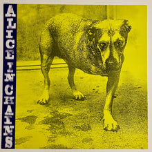 Load image into Gallery viewer, Alice In Chains - Double Sided Album Flat
