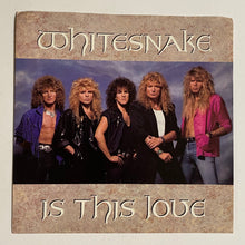 Load image into Gallery viewer, Whitesnake - 7” Picture Sleeve Only (no record)
